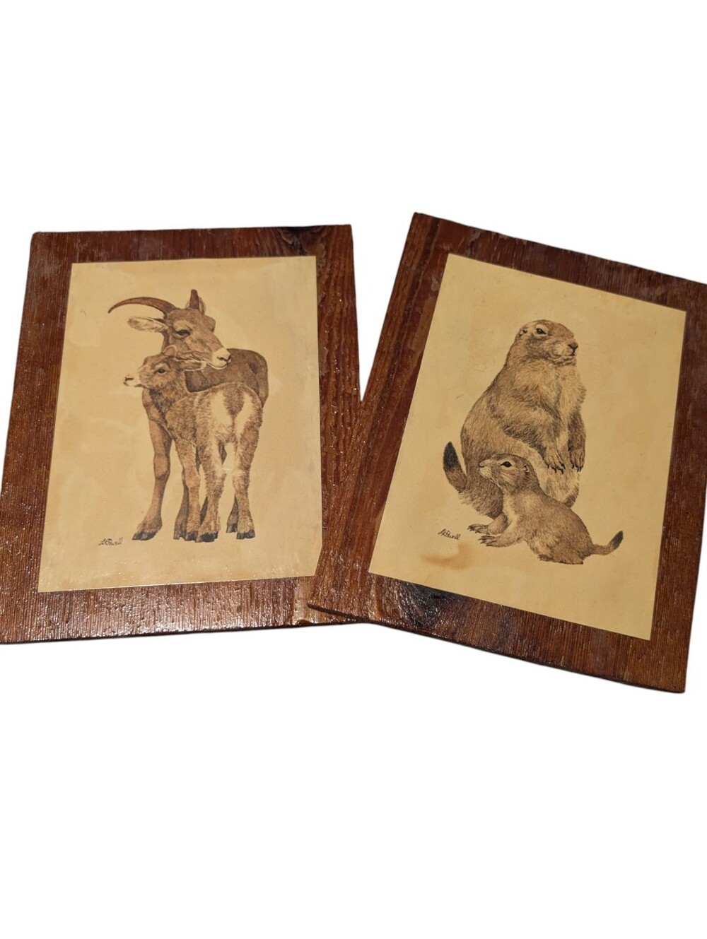 Vintage LK Powell Signed Wildlife Art Prints on Wood Panels Goats & Prairie Dog